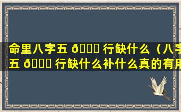 命里八字五 🐎 行缺什么（八字五 🐕 行缺什么补什么真的有用吗）